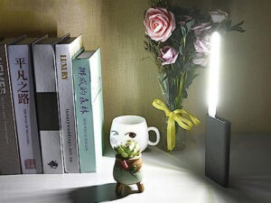 10 Piece Mini LED Night Lights Set