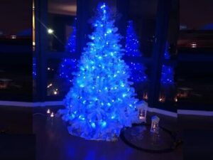 100 LED Decorative Lights