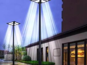1000W LED Solar Park Light