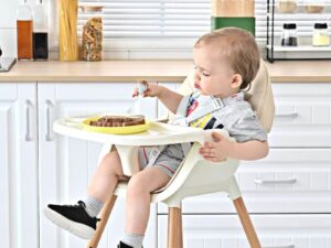 2 in 1 Baby High Chair Baby Feeding Chair Baby Booster Chair