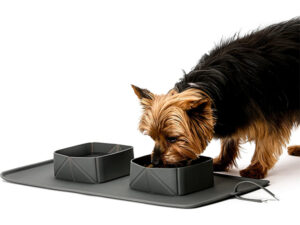 2 in 1 Portable Collapsible Double Pet Bowls Feeding Mat Set