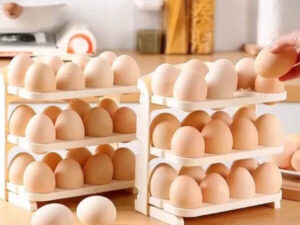 24 Grid Foldable Egg Holder Storage Rack