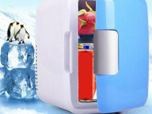 4L Mini Car Refrigerator Electric Cooler Warmer