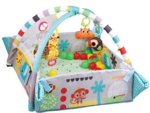 5 in 1 Activity Gym and Ball Pit