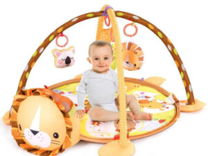 Baby Gym Rack and Gamepad Combo