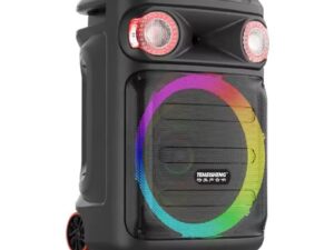 Bluetooth Trolley Speaker 2 Mics and Remote