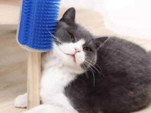 Catch Caddy Cat Hair Catcher