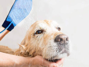 Deep Cleaning Pet Brush Glove with Hose