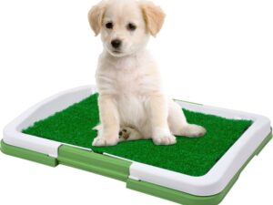 Dog Potty Trainer