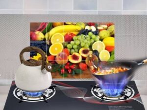 Double Burners Gas Stove