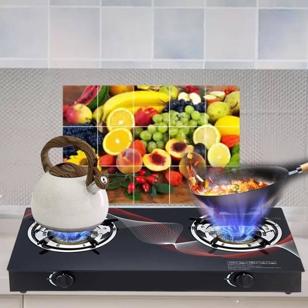 Double Burners Gas Stove