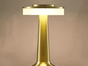 Dumbbell Desk Lamp Night Light