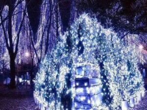 Fairy String Lights-10m