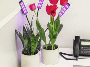 Flexible LED Indoor Grow Light