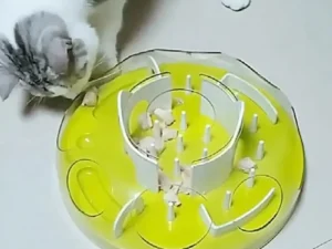 Interactive Nonslip Adjustable Slow Cat Food Dispenser