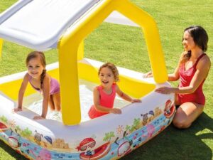 Intex Sun Shade Pool