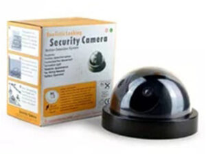 LED Indoor Outdoor Surveillance Dummy IR Camera