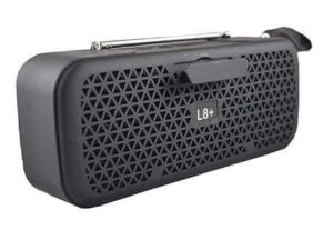 Mini Bluetooth Radio Speaker