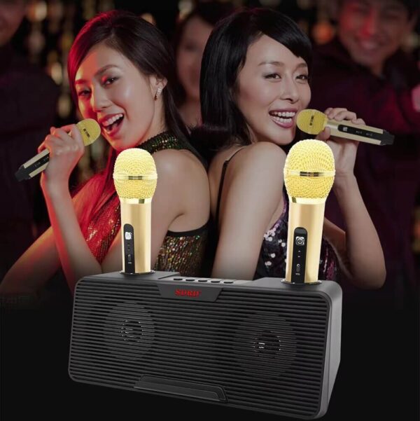 Mini Karaoke Speaker with 2 Microphones