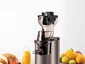 Multifunctional Slow Juicer