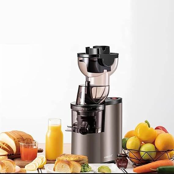 Multifunctional Slow Juicer