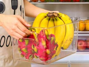 Multifunctional Storage Container