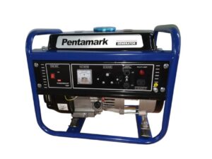 Portable Gasoline Generator 3000DC