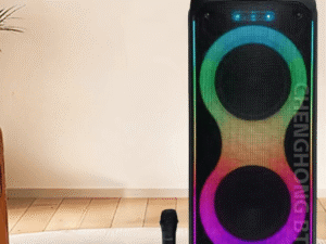 Portable RGB Colourful Lights 10 inch Wireless Speaker
