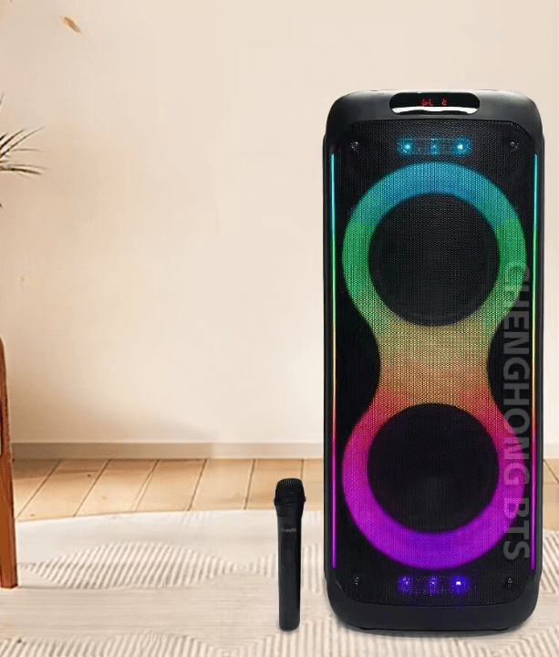 Portable RGB Colourful Lights 10 inch Wireless Speaker