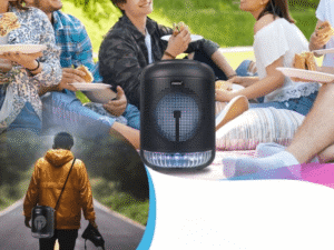 Portable Speaker System