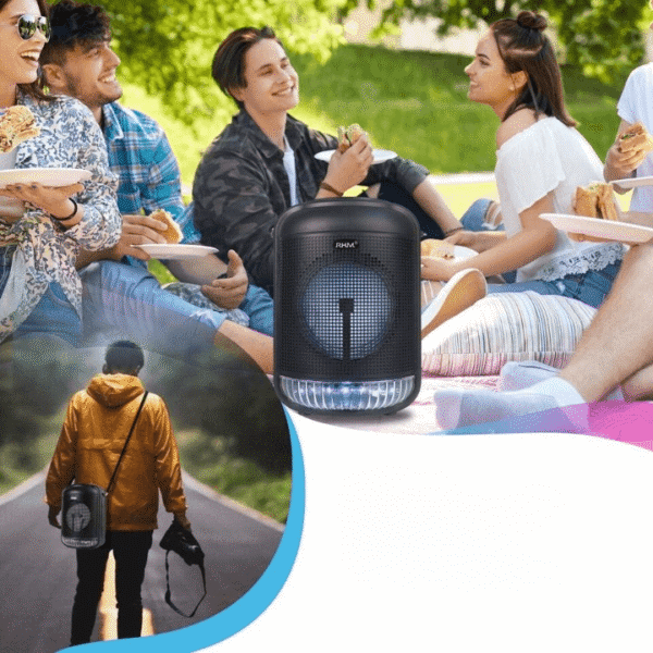 Portable Speaker System