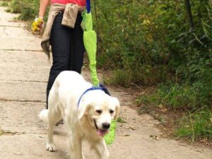 Reflective Dog Leash Set