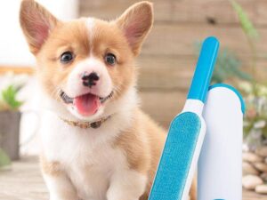 Reusable Pet Fur Remover With Self Cleaning Base