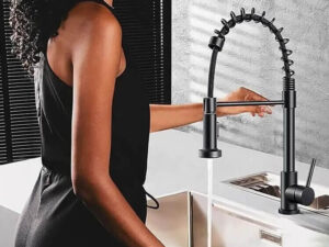 Single Handle Stainless Steel Pull Down Kitchen Sink Sprayer Tap
