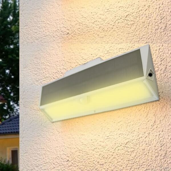 Solar Motion Sensor Light