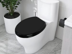 Wooden Toilet Seat