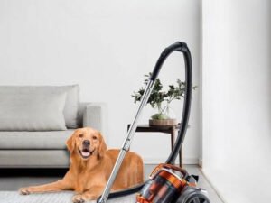 3600W 3.5L Corded Canister Vacuum Cleaner