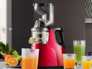 800w Electric Slow Juicer