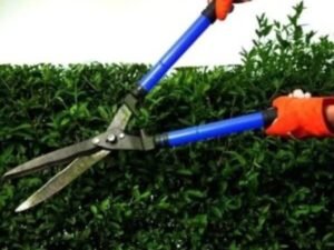 Adjustable Long Handle Garden Scissor