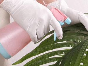 Disposable Vinyl Gloves